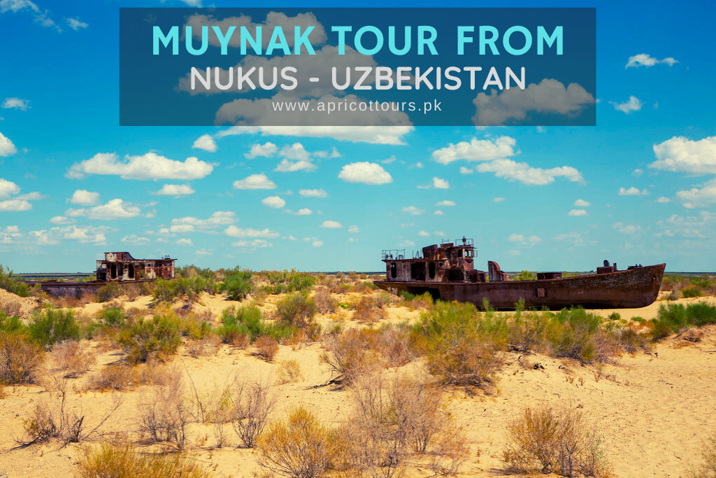 Muynak Tour from Nukus - Uzbekistan