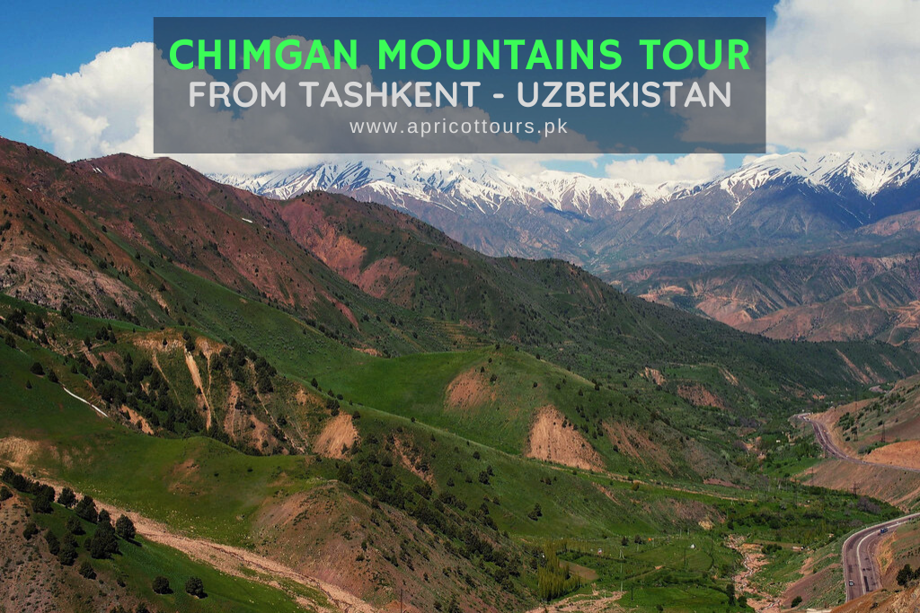 Chimgan Mountains Tour from Tashkent - Uzbekistan