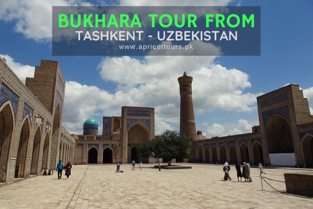 Bukhara Tour from Tashkent - Uzbekistan
