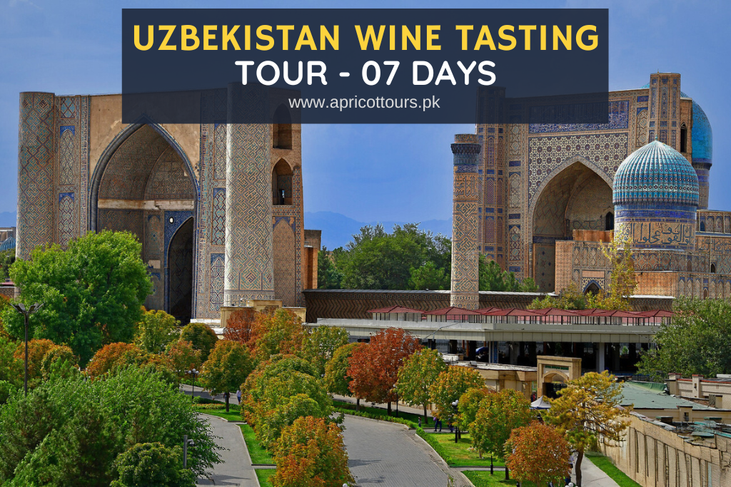 uzbekistan wine tasting tour