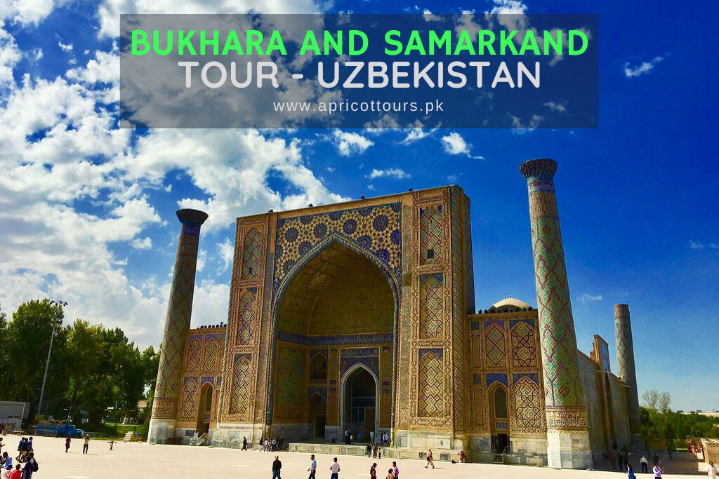 Bukhara and Samarkand Tour - Uzbekistan