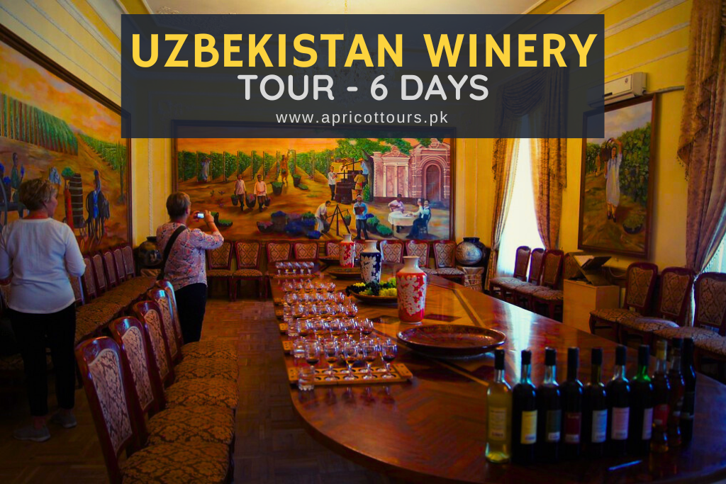 uzbekistan winery tour