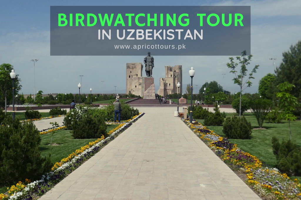 Birdwatching Tour in Uzbekistan