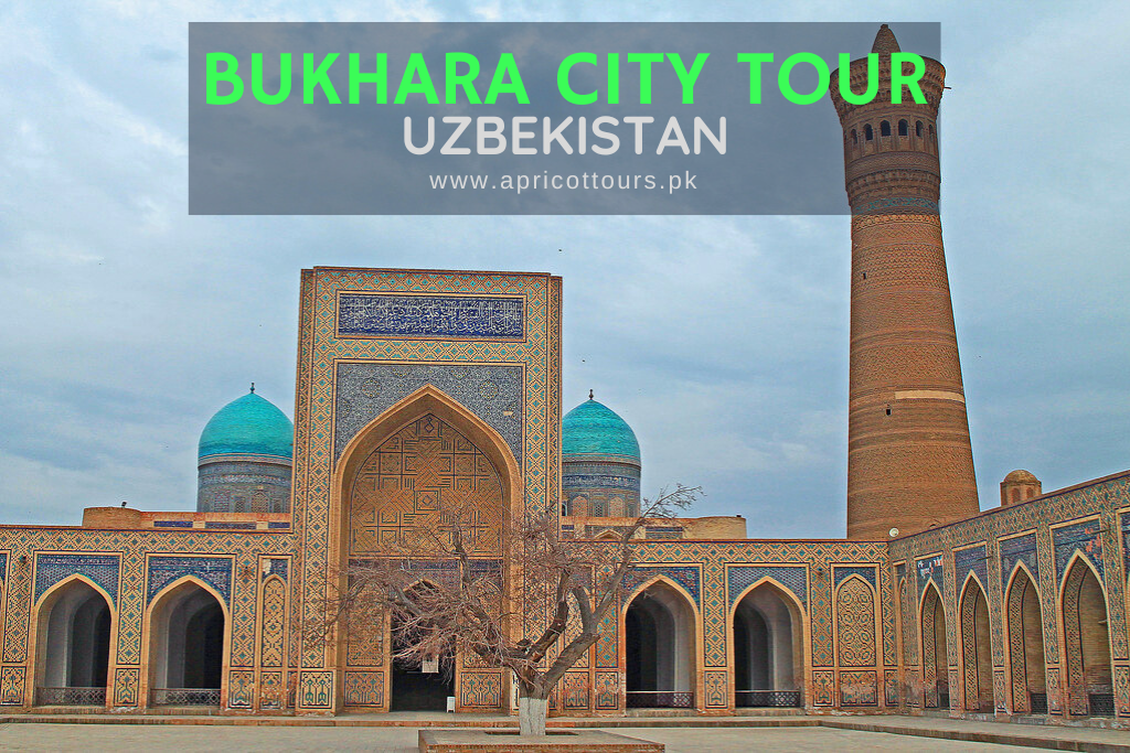bukhara city tour