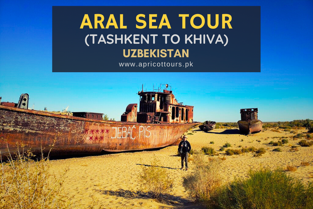 Aral Sea Tour (Tashkent to Khiva) - Uzbekistan