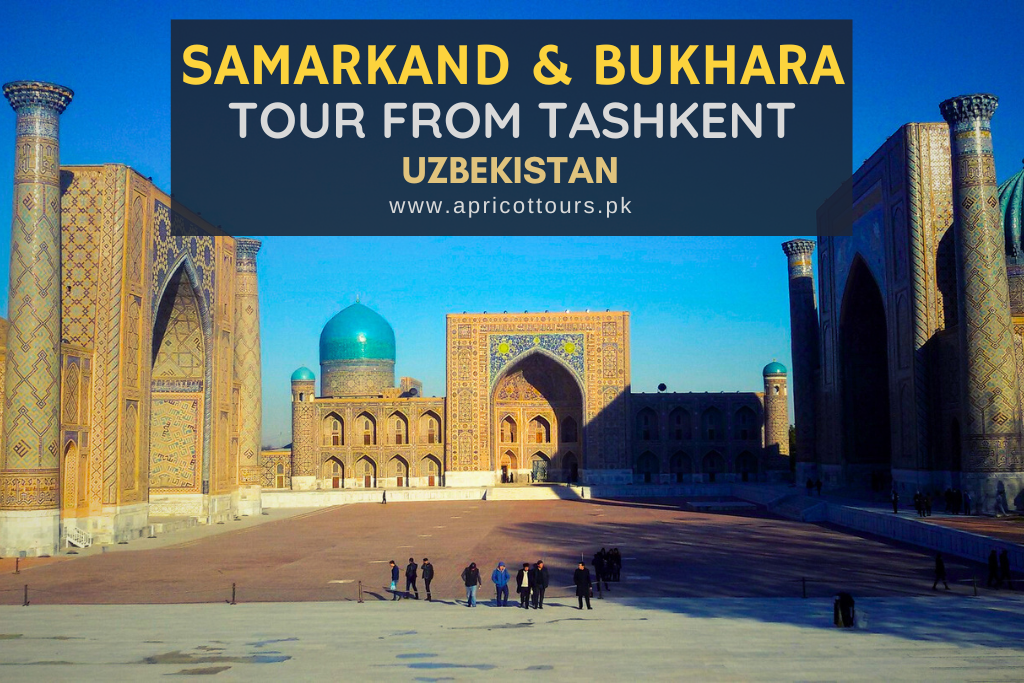samarkand & bukhara tour from tashkent