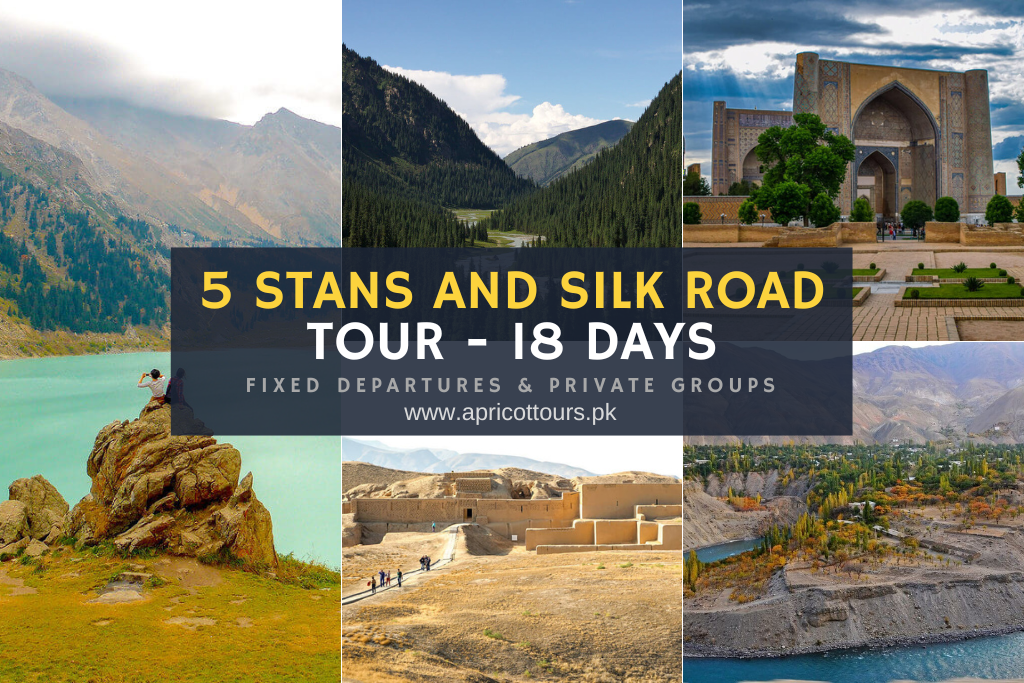 5 STANs and Silk Road Tour