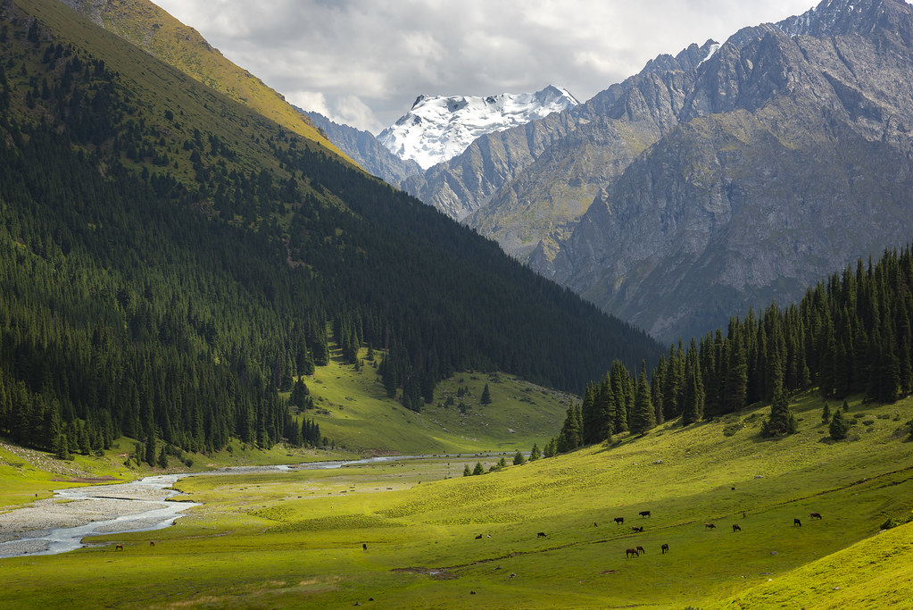 uzbekistan turkmenistan and kyrgyzstan tour