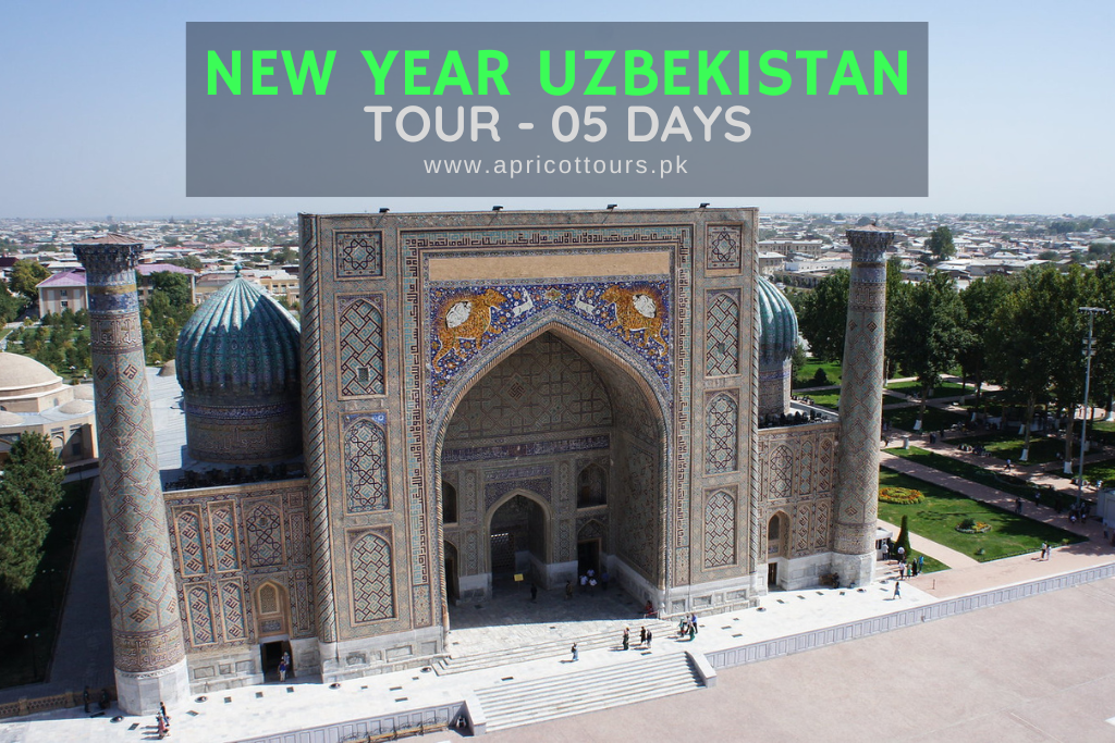 new year uzbekistan tour