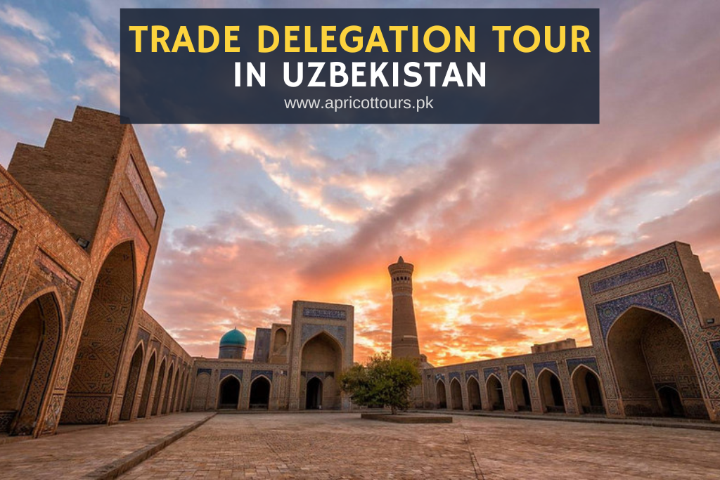 Trade Delegation Tour in Uzbekistan