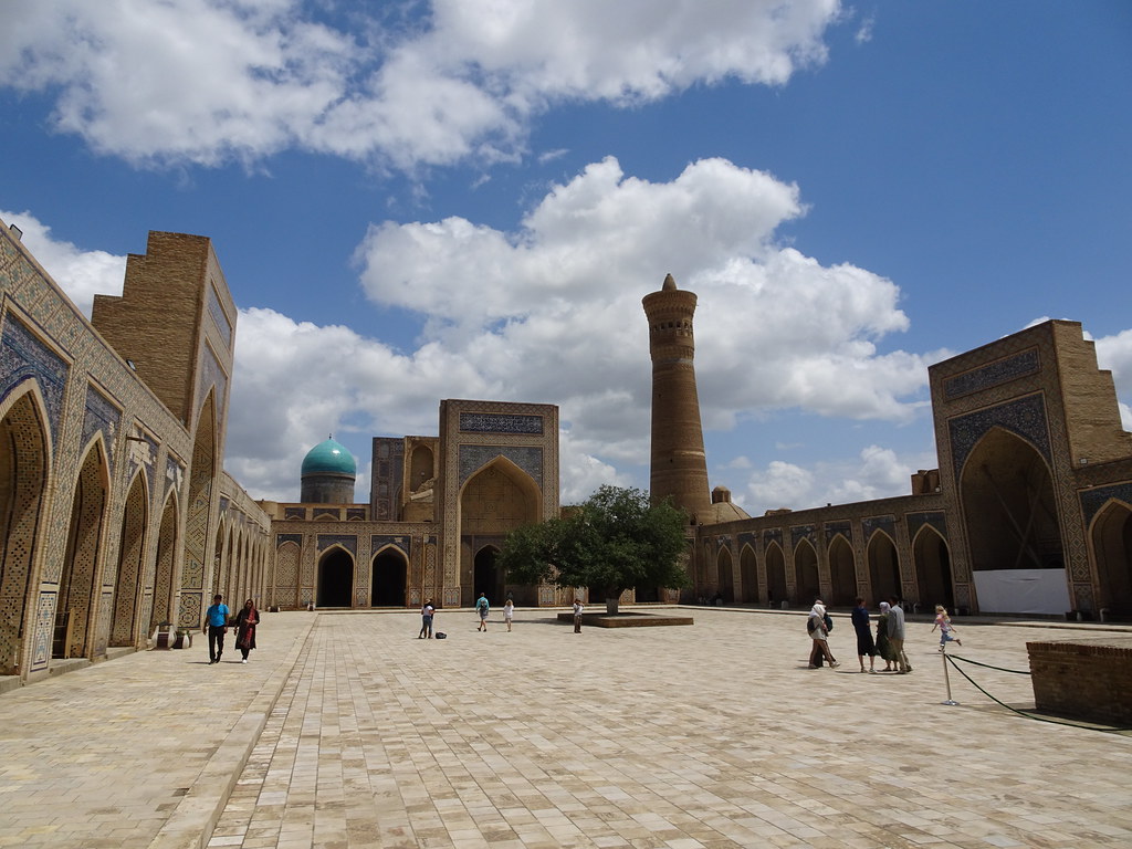 wildlife tour in uzbekistan