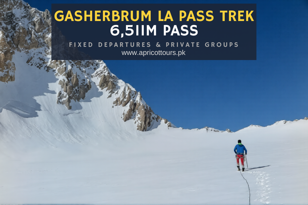 gasherbrum la pass trek