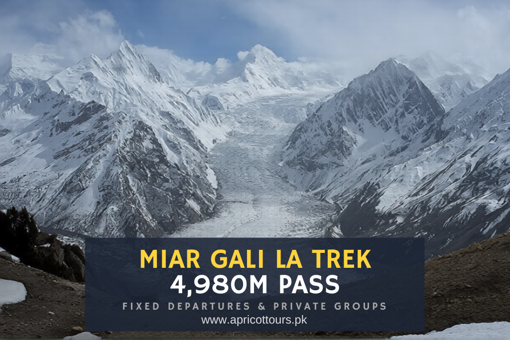Miar Gali La Trek