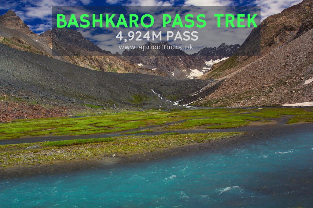Bashkaro Pass Trek