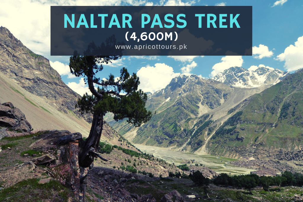 Naltar Pass Trek