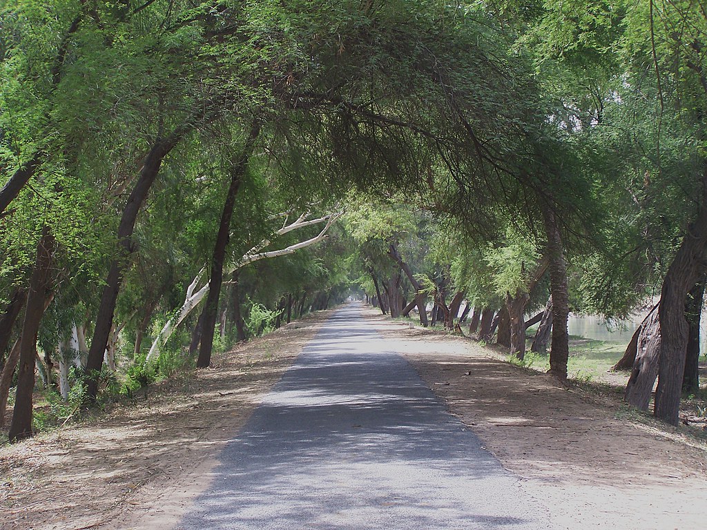 lal suhanra national park tour