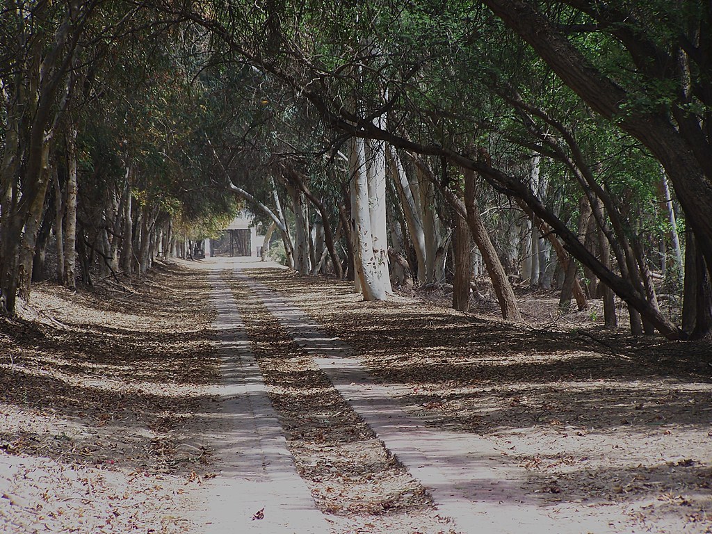lal suhanra national park tour