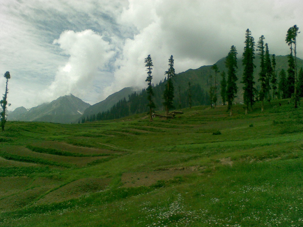 lalazar wildlife park tour