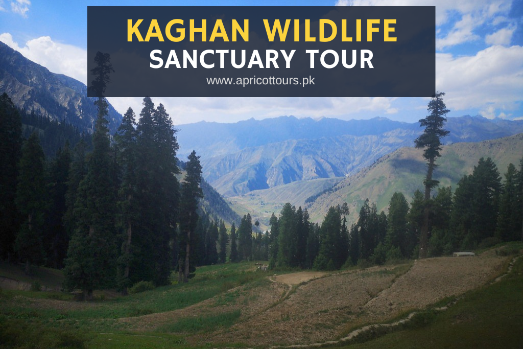 Kaghan Wildlife Sanctuary Tour