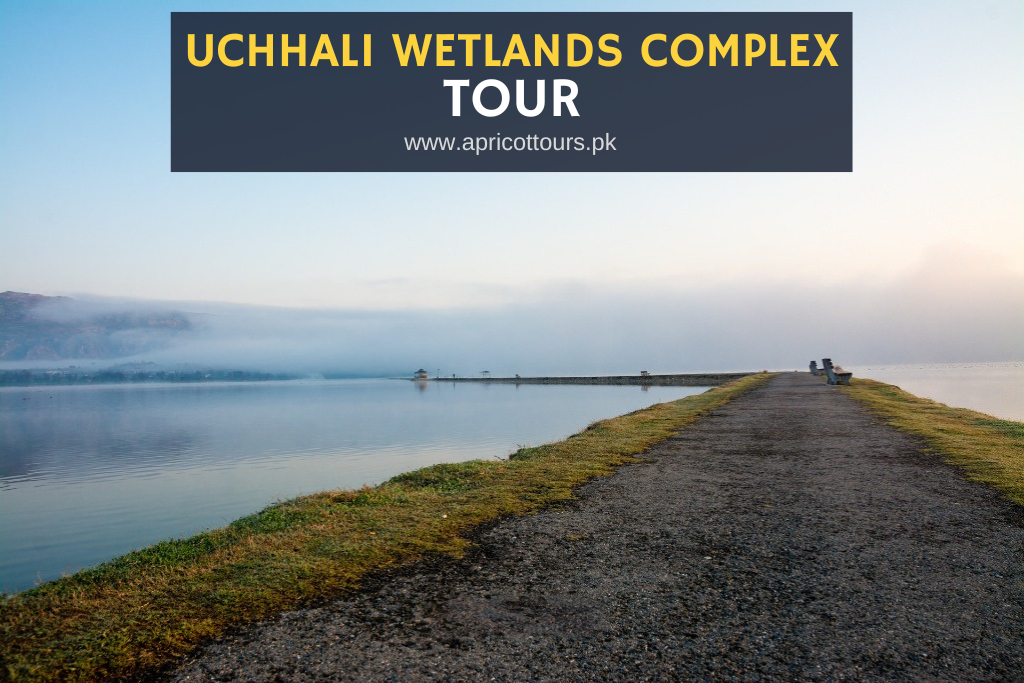 Uchhali Wetlands Complex Tour