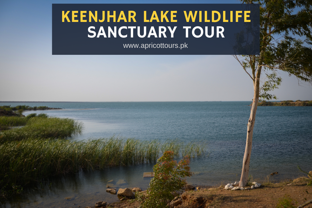 Keenjhar Lake Wildlife Sanctuary Tour