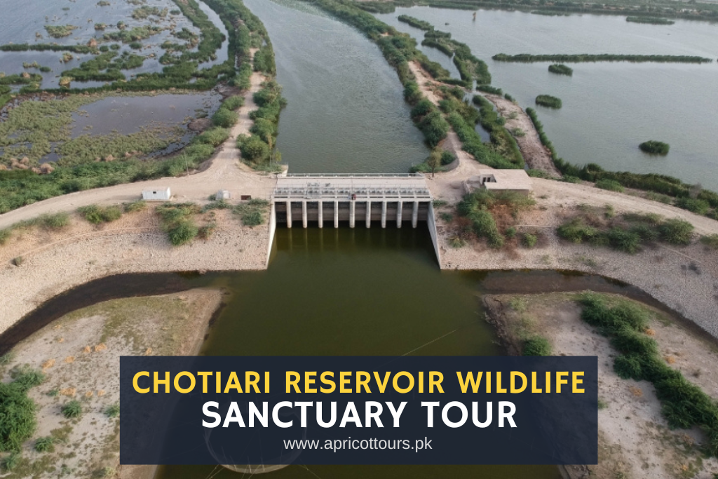 Chotiari Reservoir Wildlife Sanctuary Tour