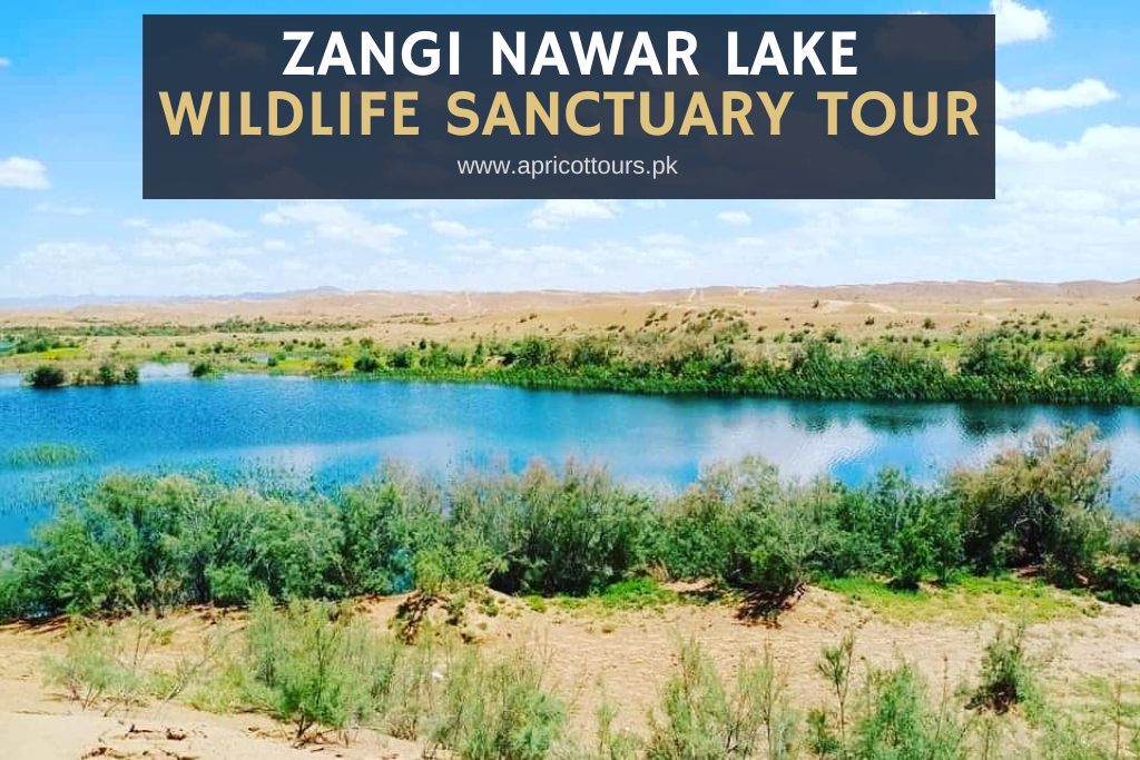Zangi Nawar Lake Wildlife Sanctuary Tour