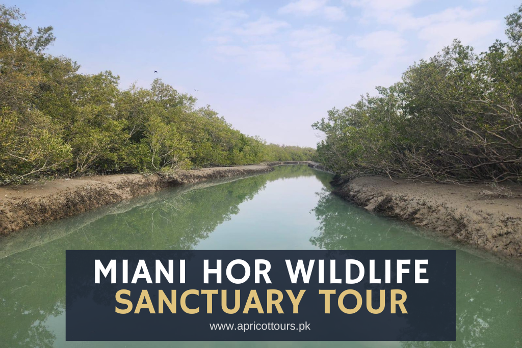 miani hor wildlife sanctuary tour