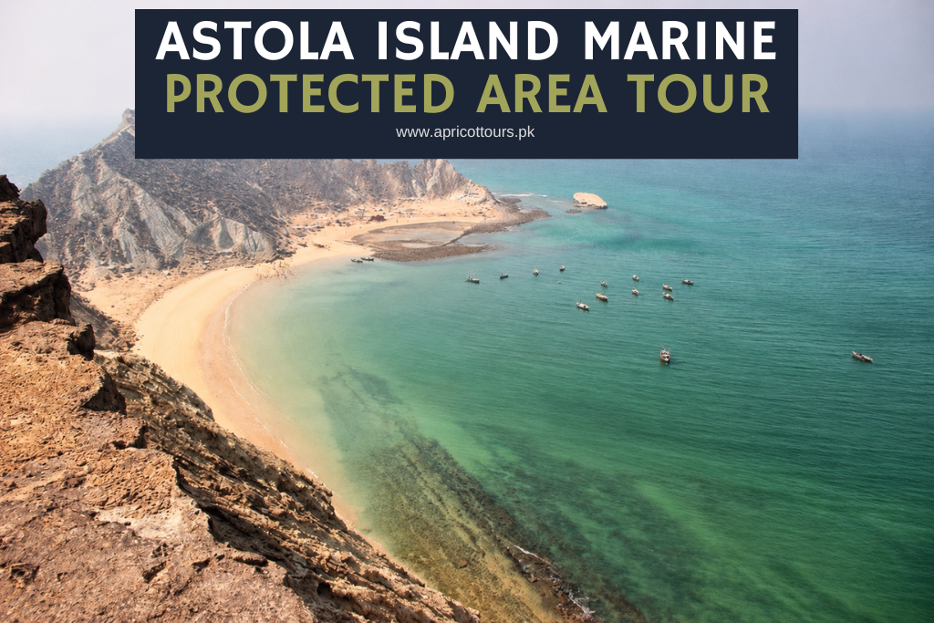Astola Island Marine Protected Area Tour