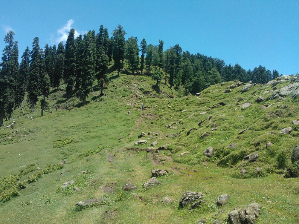 panjal mastan national park tour