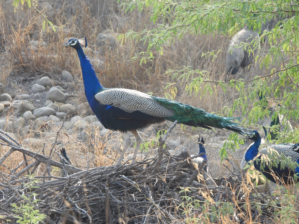 kirthar national park tour