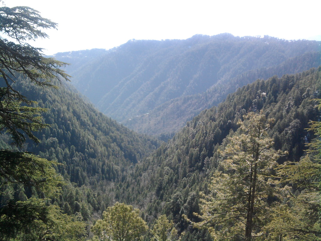 ayubia national park dunga gali tour