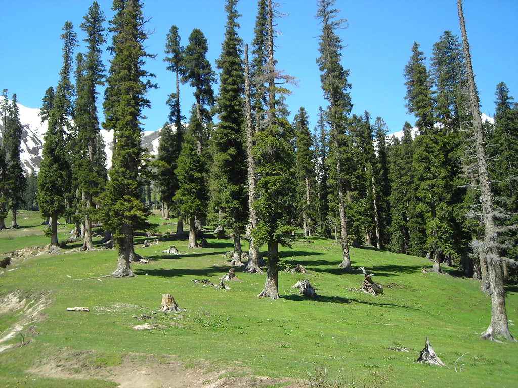 lalazar wildlife park tour