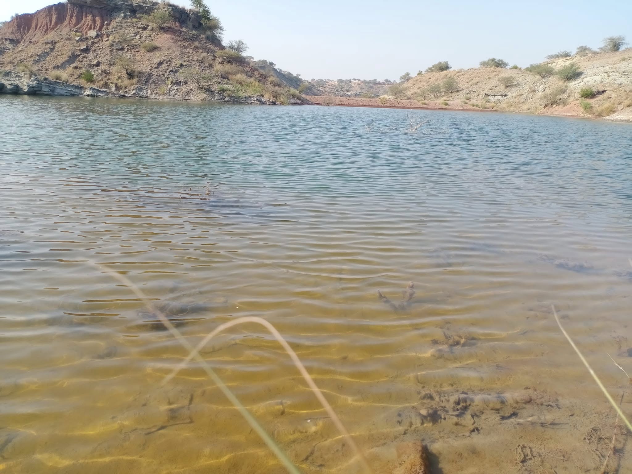 chinji national park tour