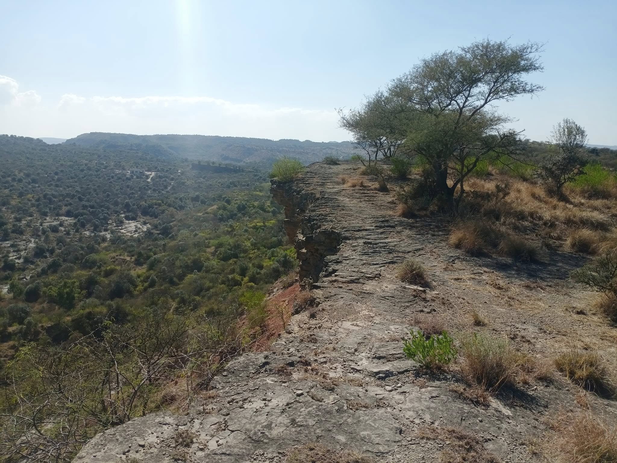 chinji national park tour