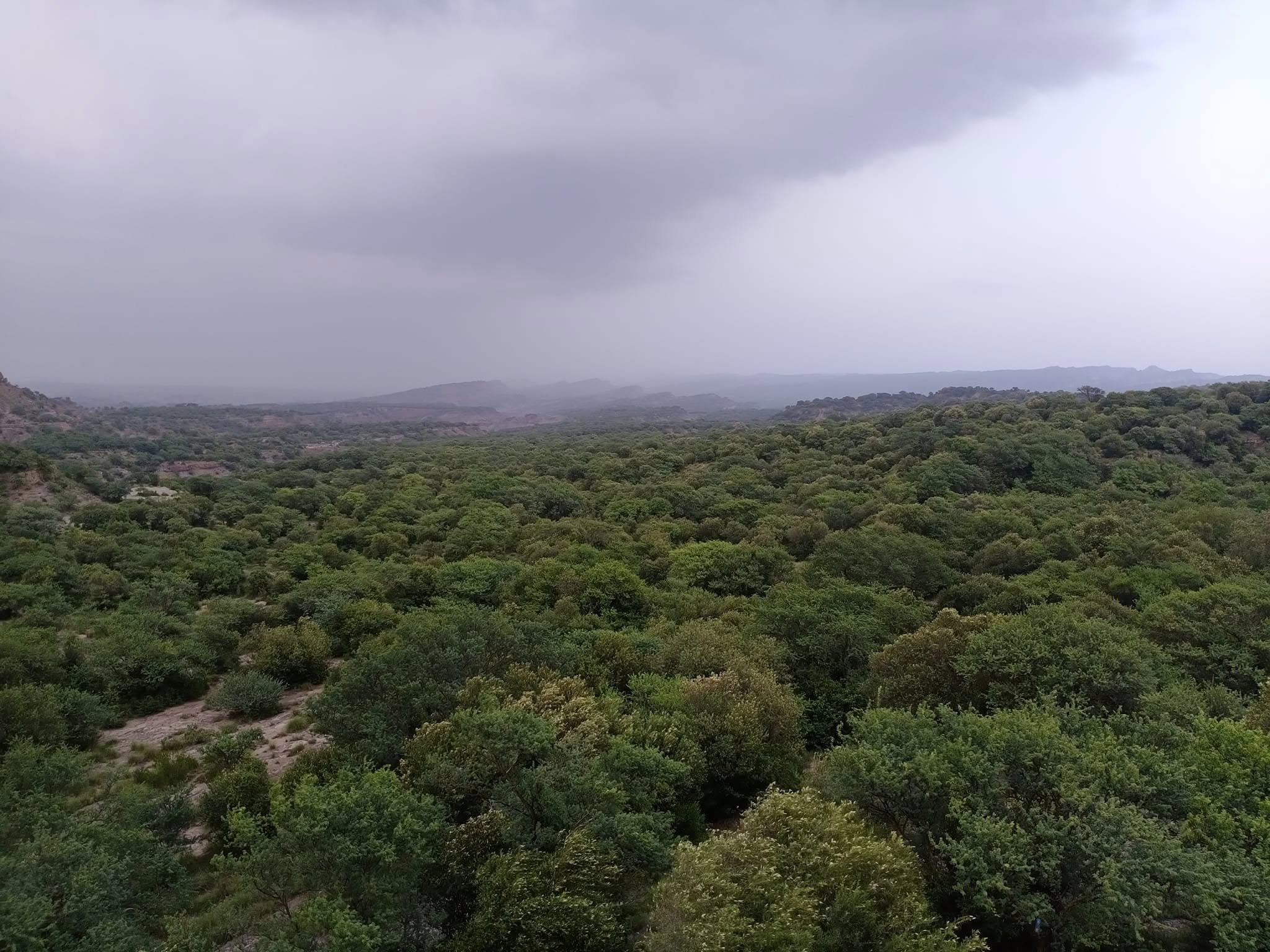 chinji national park tour