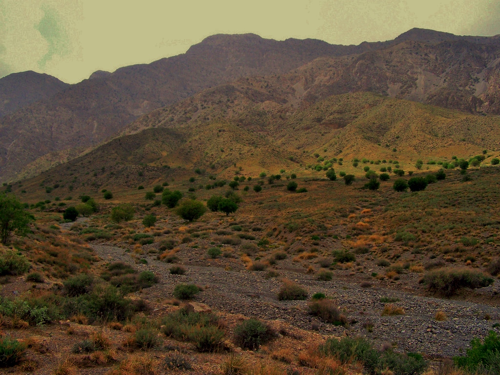 hazarganji-chiltan national park tour