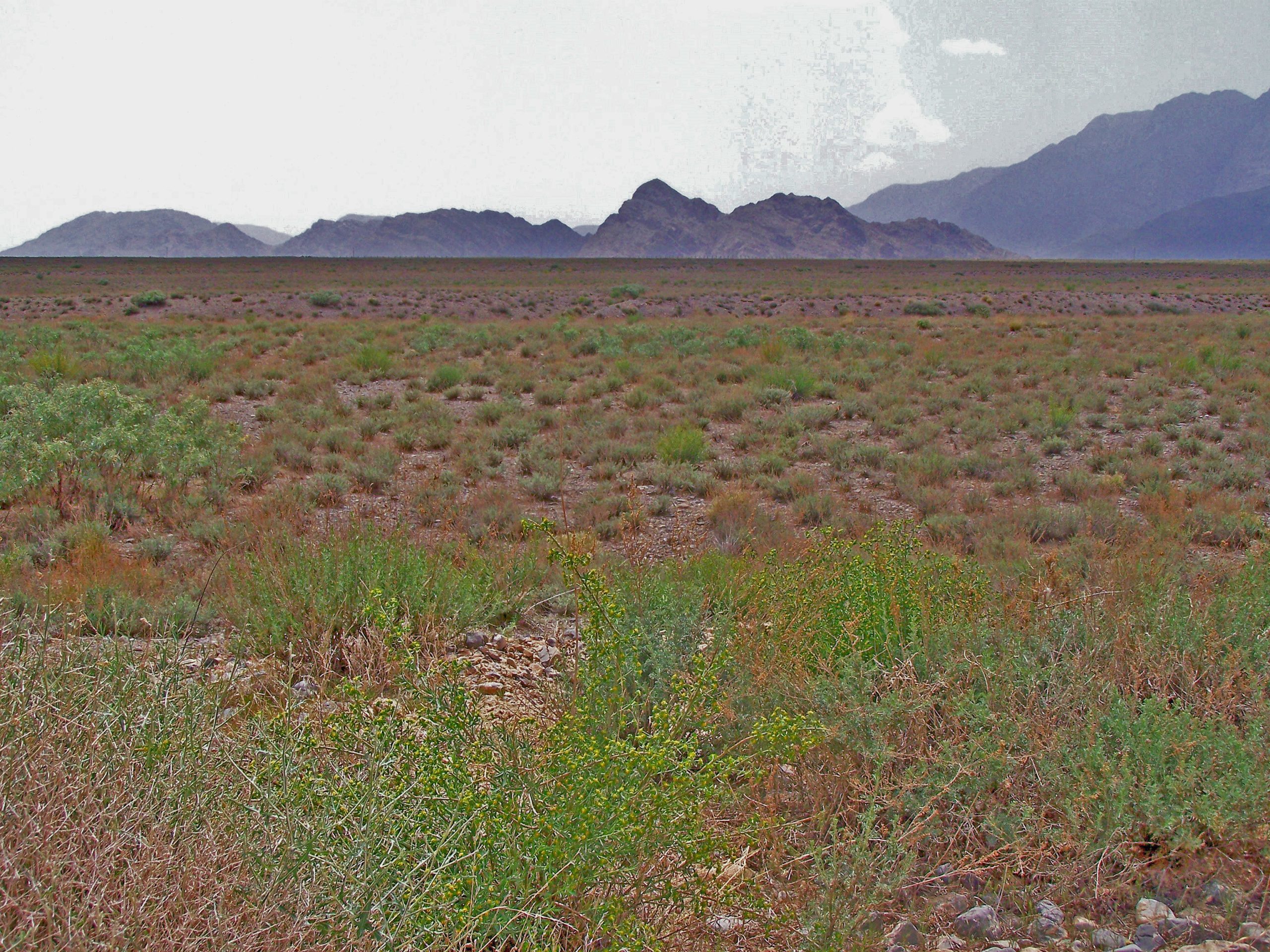 hazarganji-chiltan national park tour