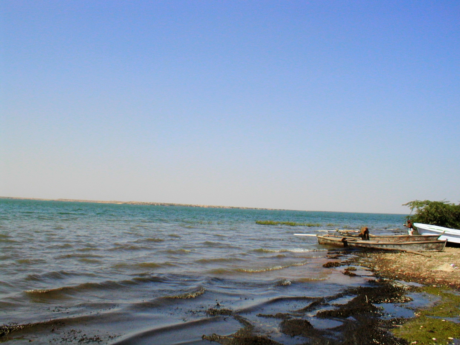 keenjhar lake wildlife sanctuary tour