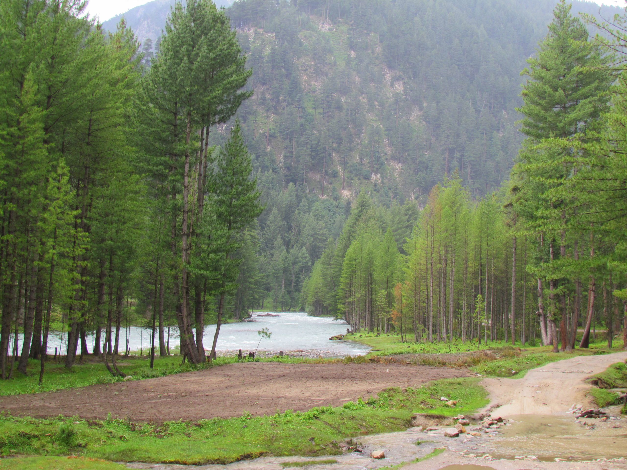 kumrat forest tour