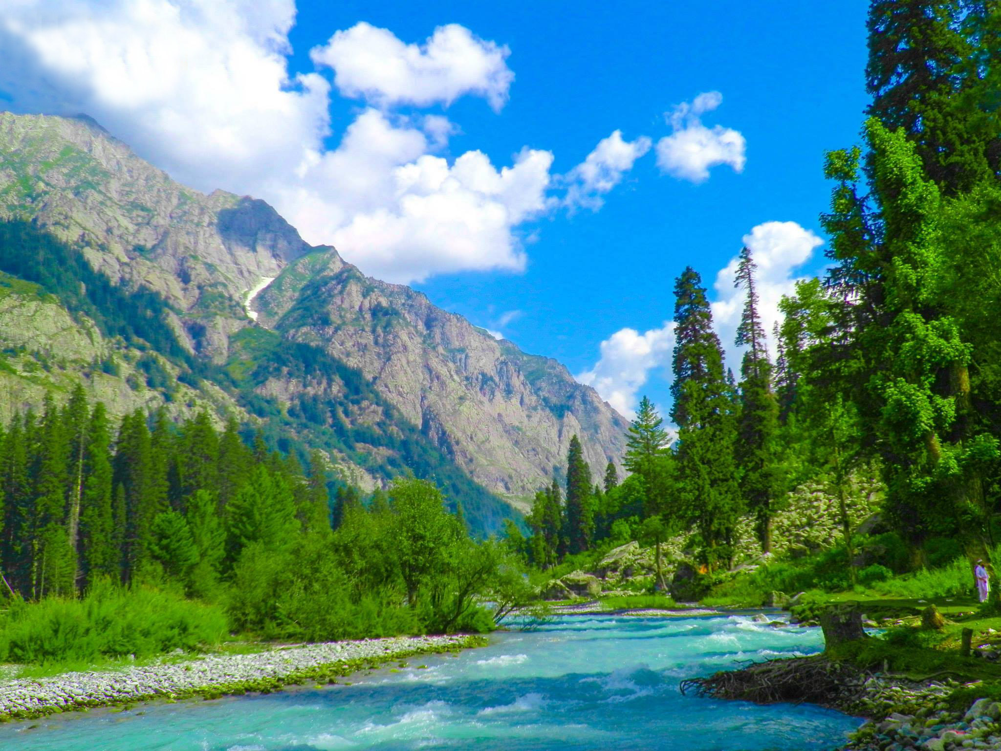 kumrat forest tour