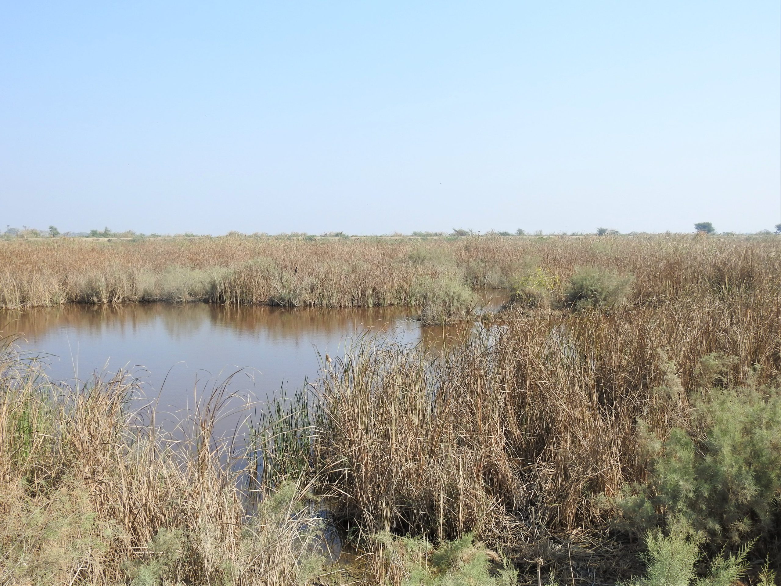 haleji lake wildlife sanctuary tour