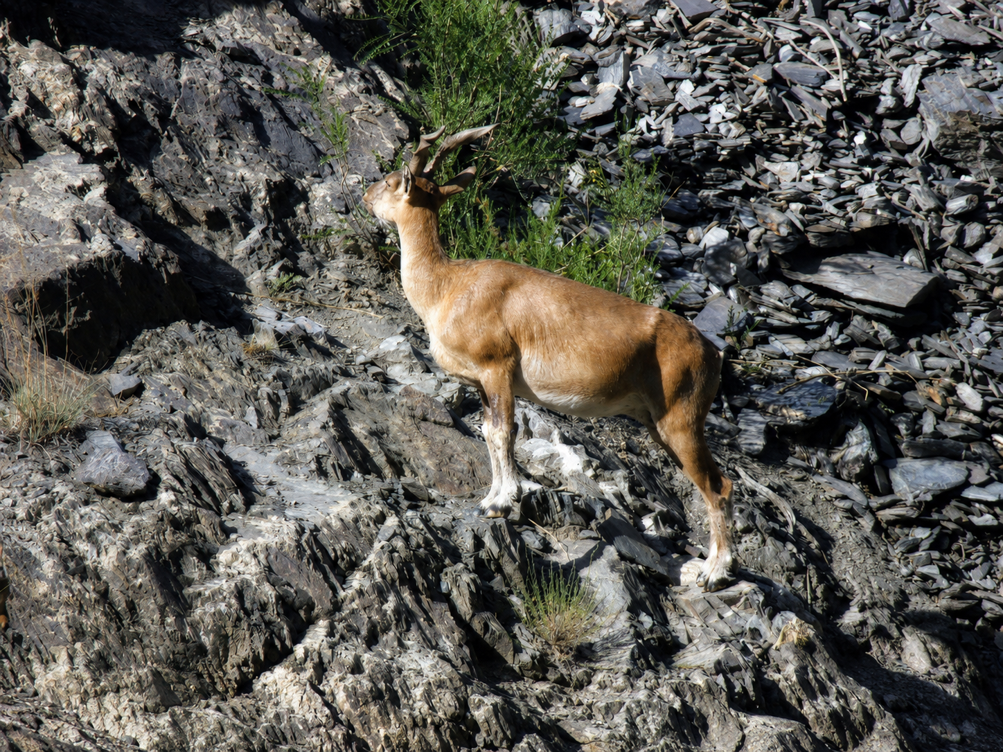 tooshi shasha conservancy tour