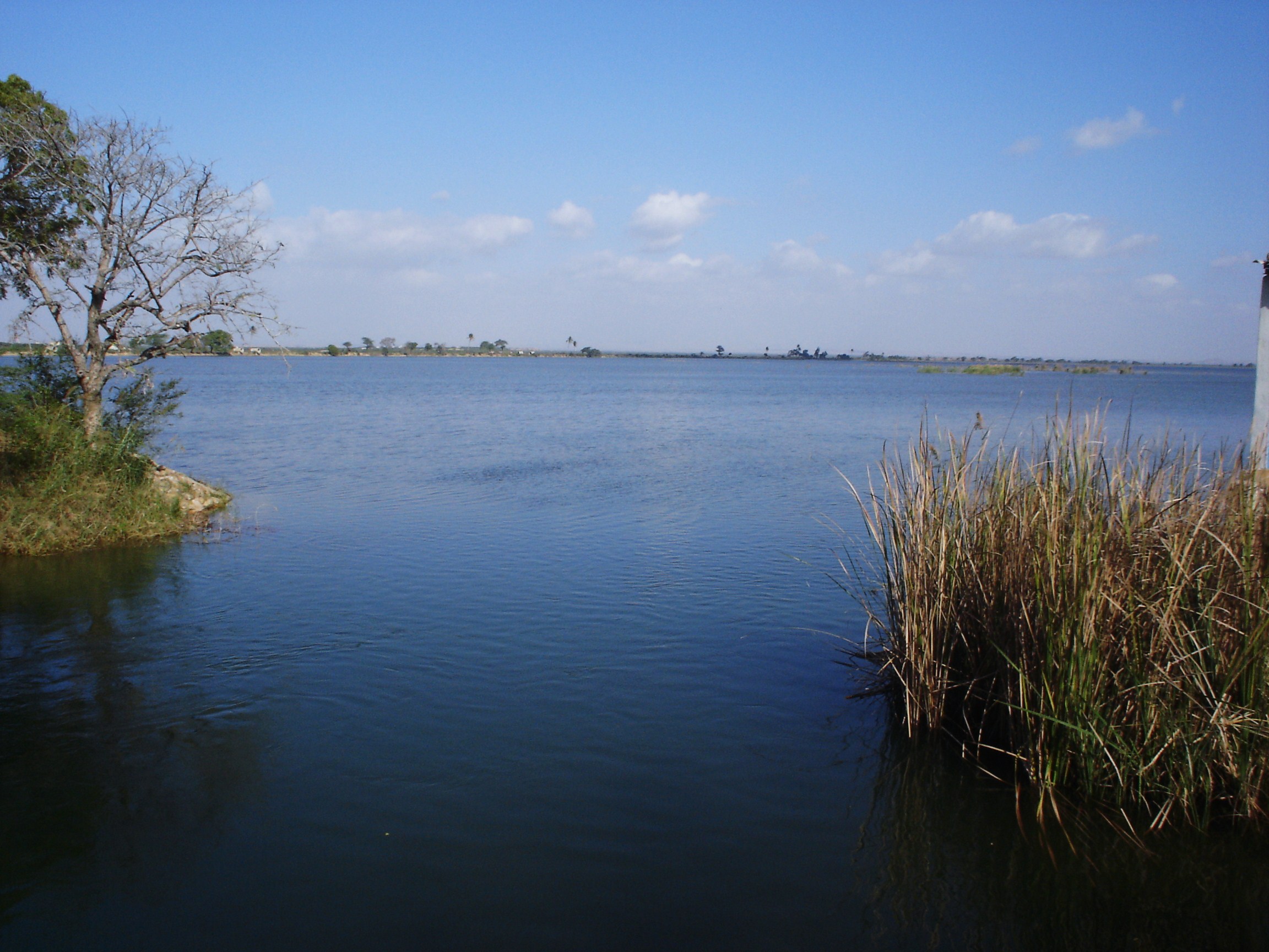 haleji lake wildlife sanctuary tour