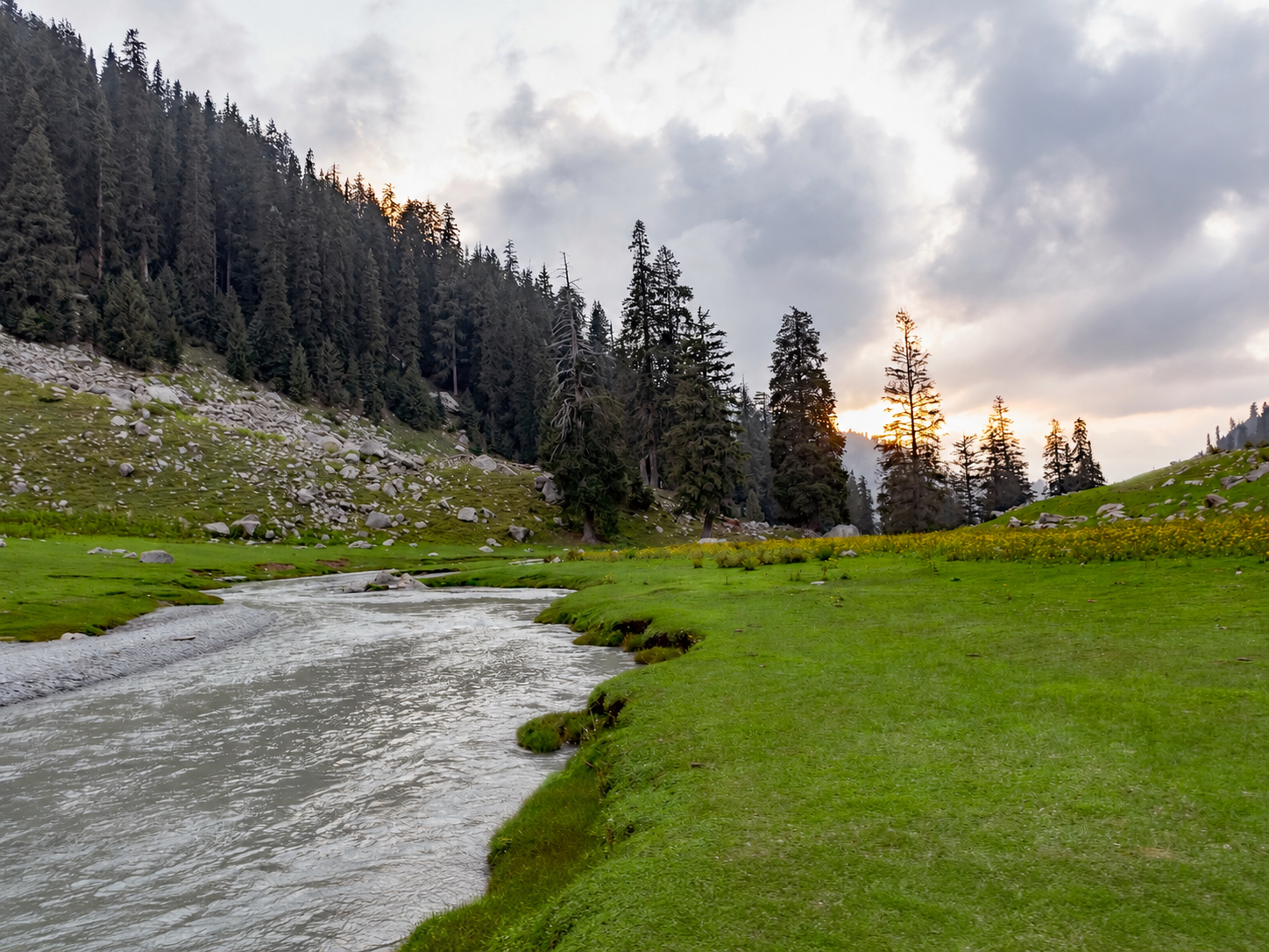 kumrat forest tour