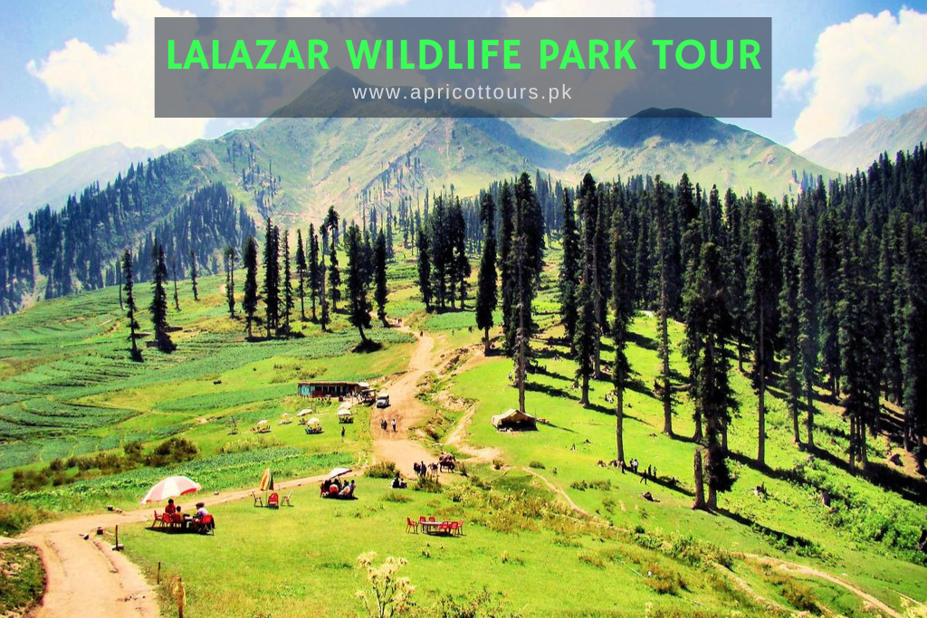 Lalazar Wildlife Park Tour