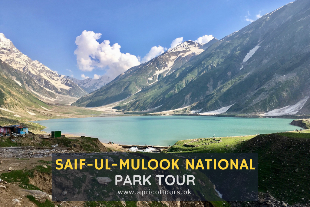 saif-ul-mulook national park tour