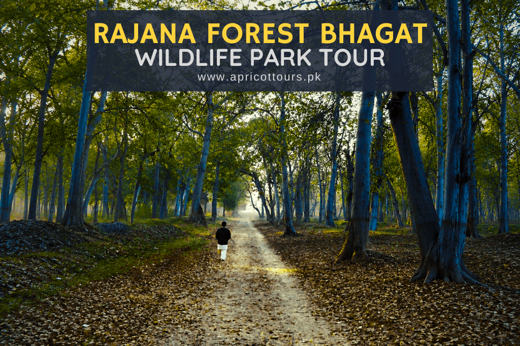 Rajana Forest Bhagat Wildlife Park Tour