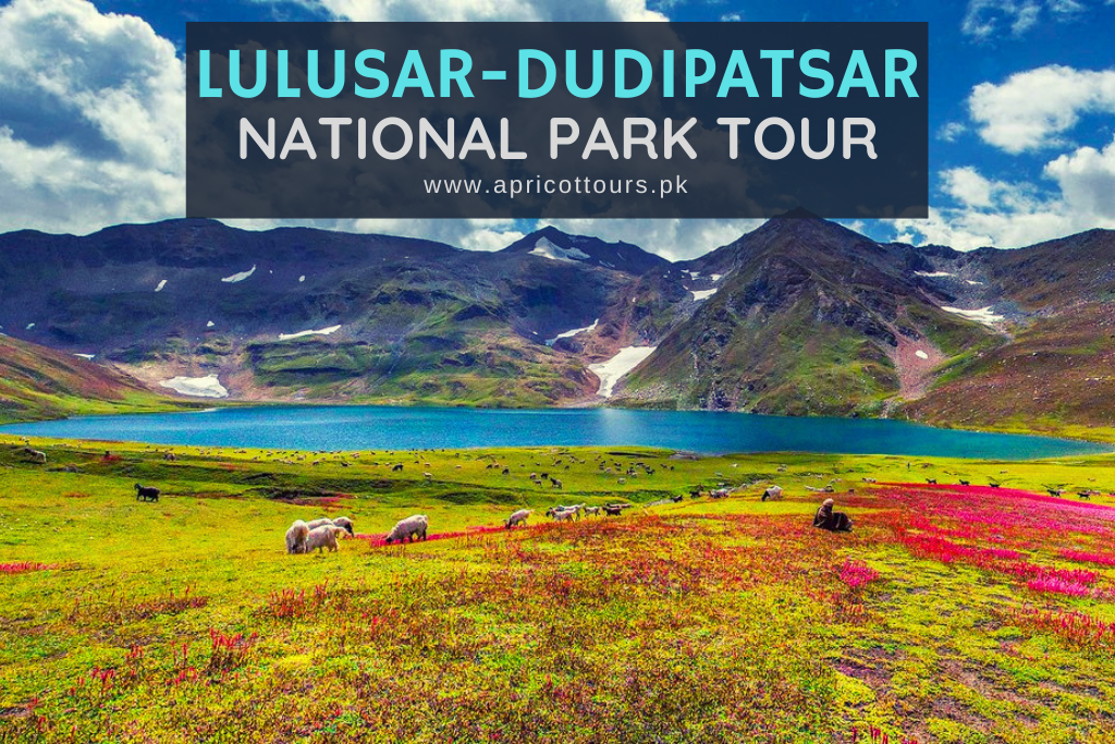 Lulusar-Dudipatsar National Park Tour