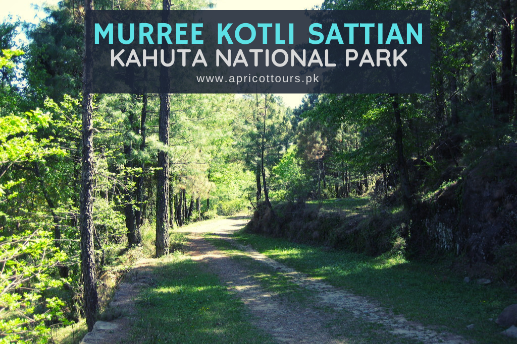 Murree Kotli Sattian Kahuta National Park